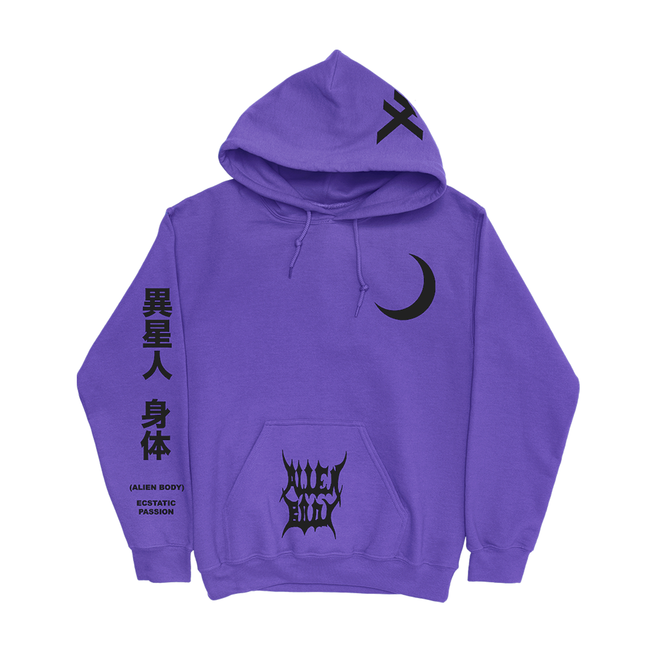 RAW VISION HOODIE (PURPLE)