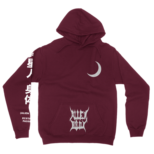 RAW VISION HOODIE (MAROON)