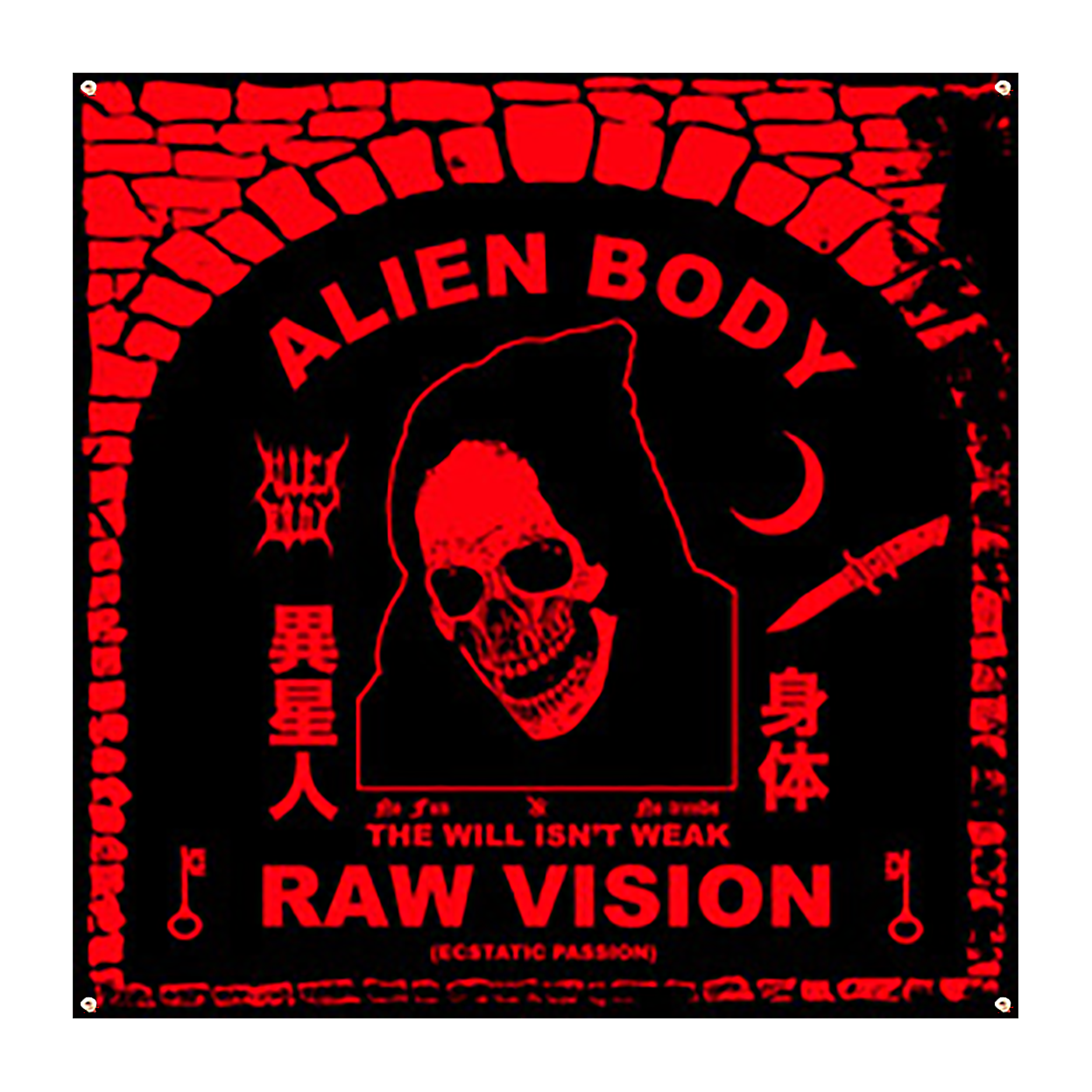 THE RAW VISION FLAG - RED