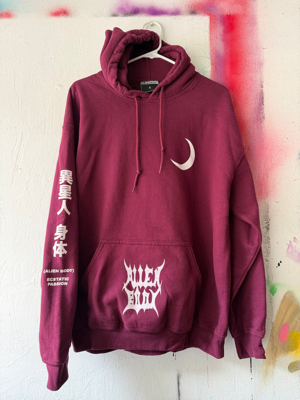Raw Vision (maroon) hoodie