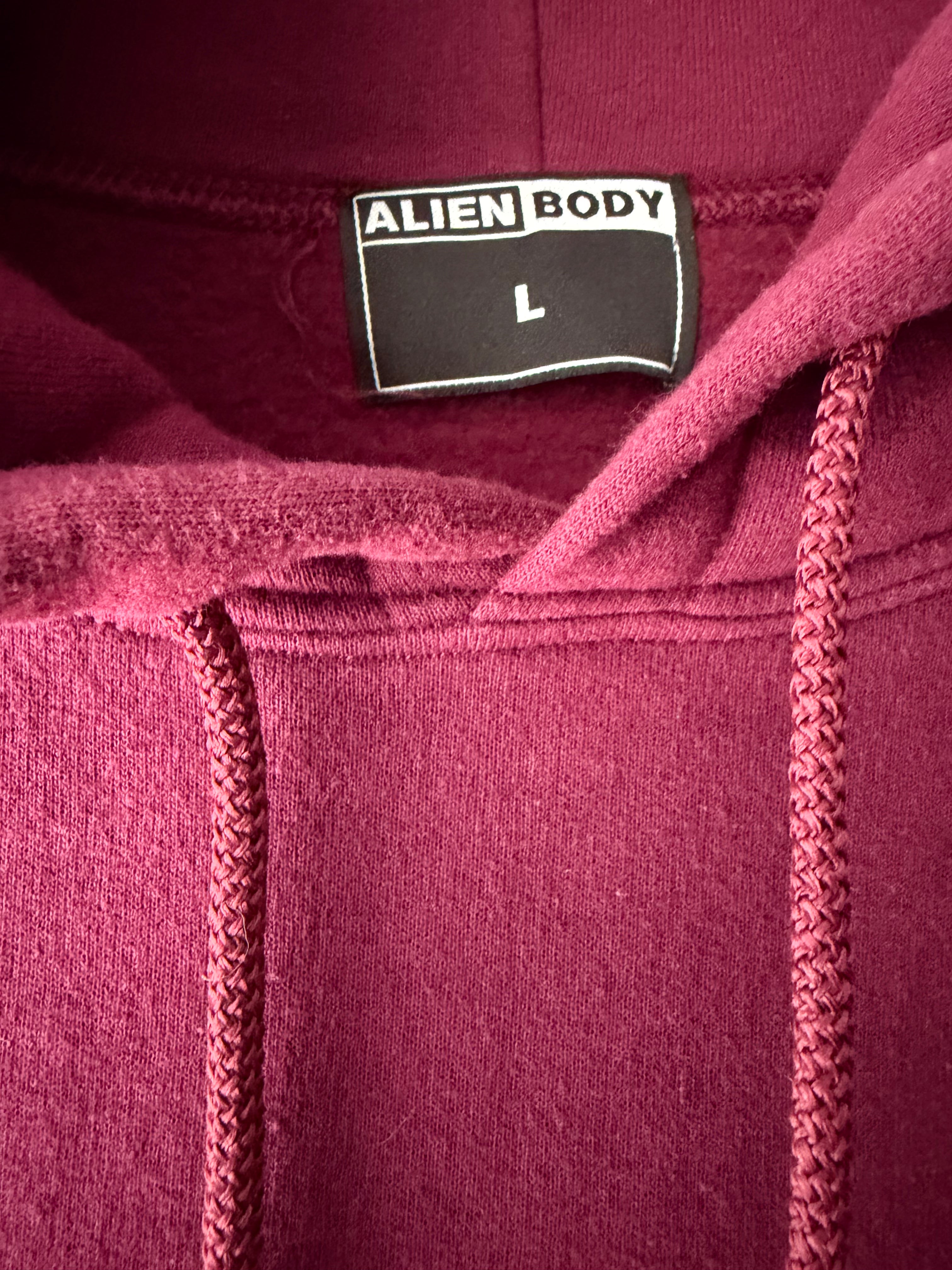 Raw Vision (maroon) hoodie