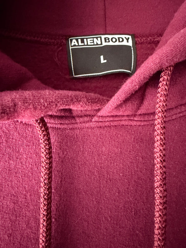 Raw Vision (maroon) hoodie