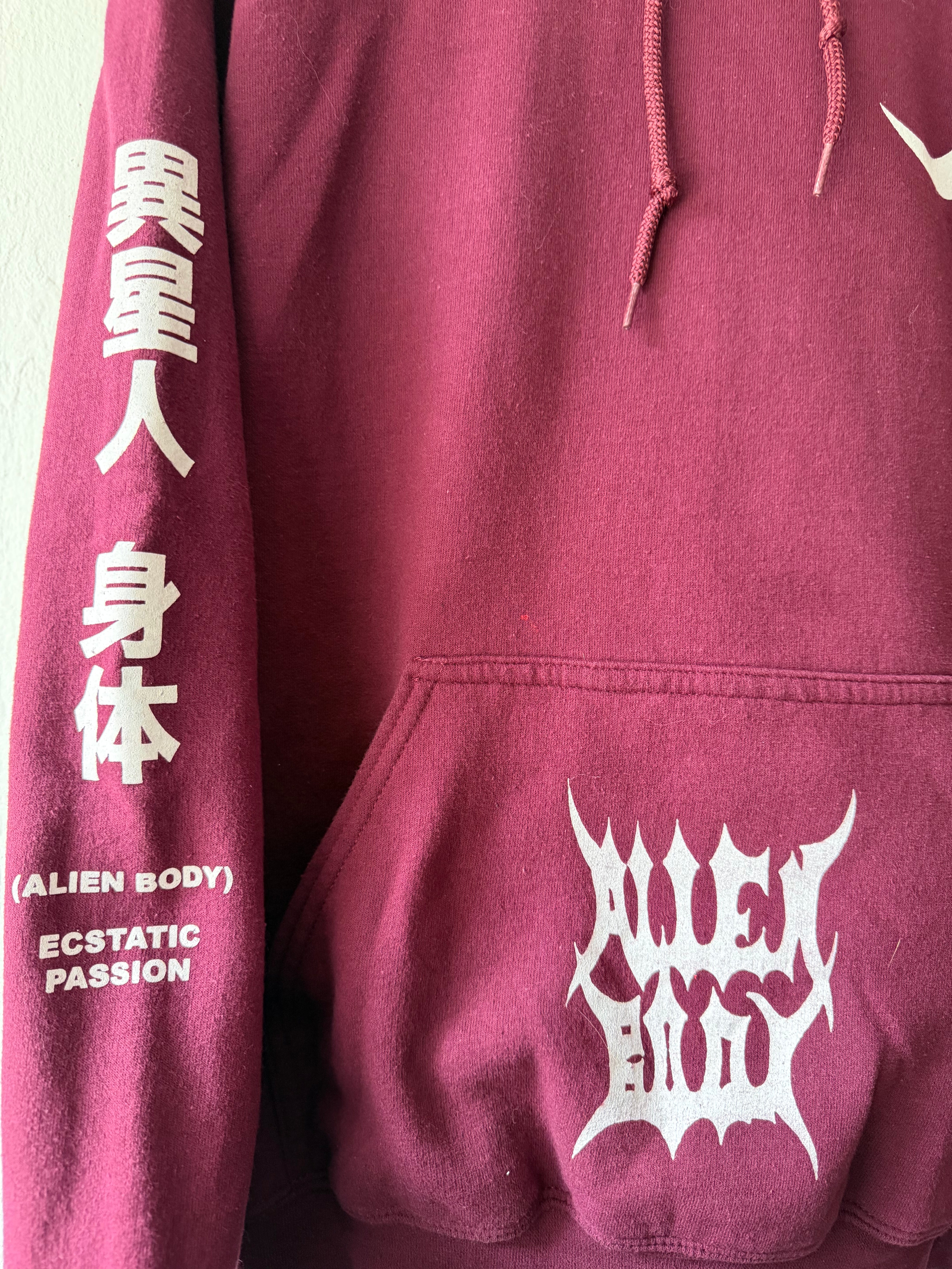 Raw Vision (maroon) hoodie