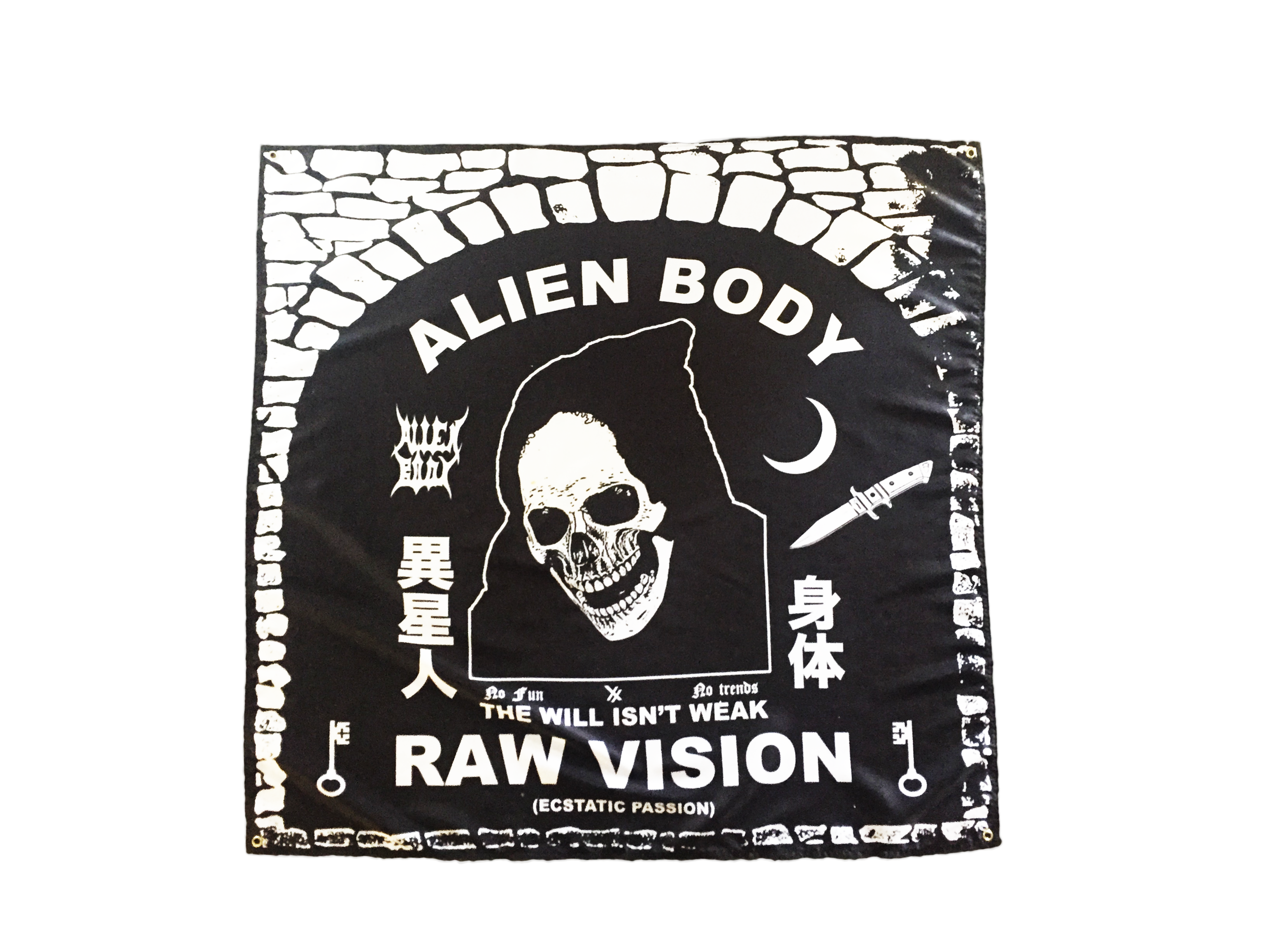 THE RAW VISION FLAG