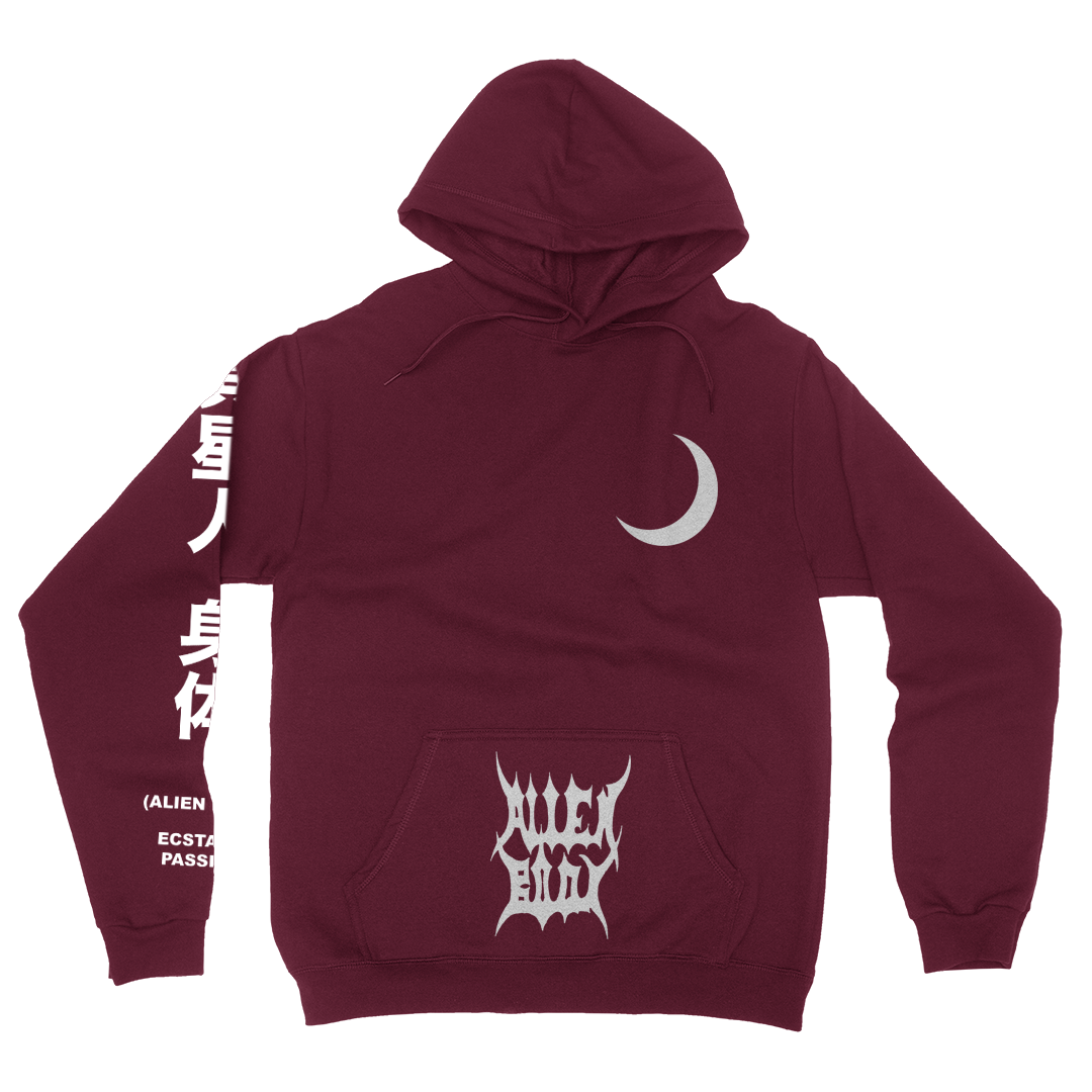 RAW VISION HOODIE (MAROON)